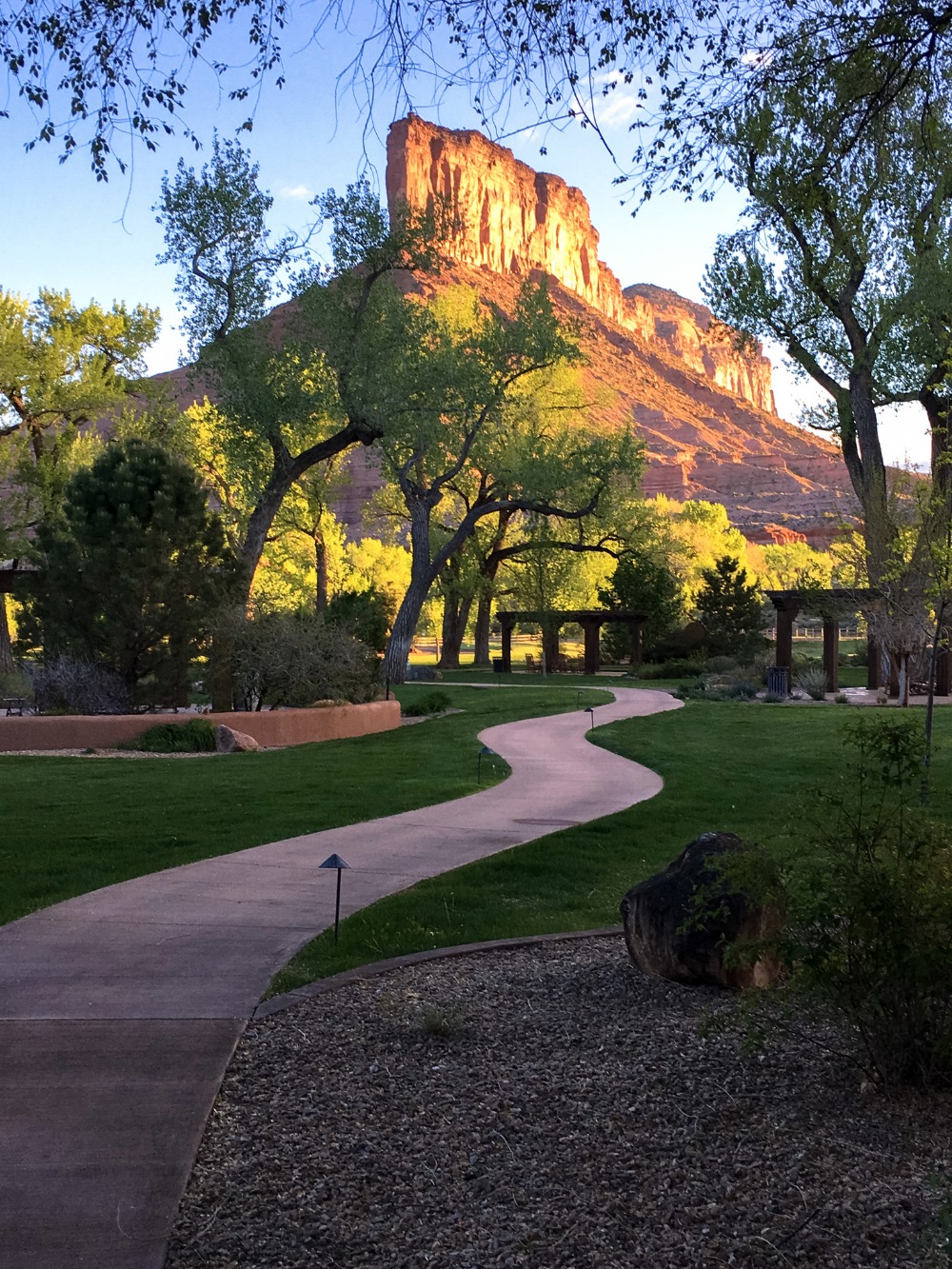 we-left-our-hearts-in-colorado-s