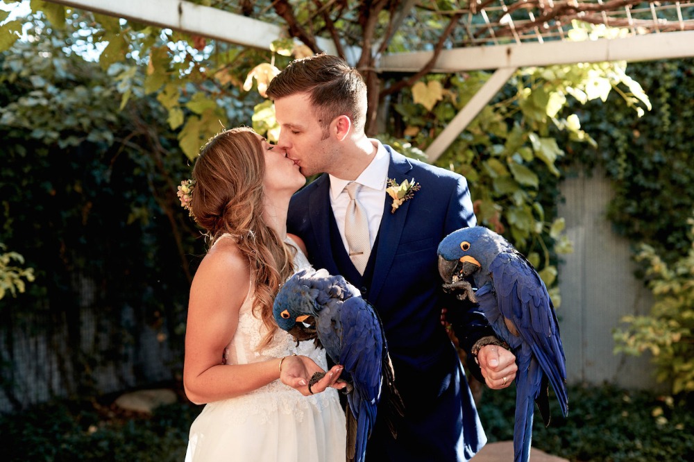 wedding-submission-from-a-vintage