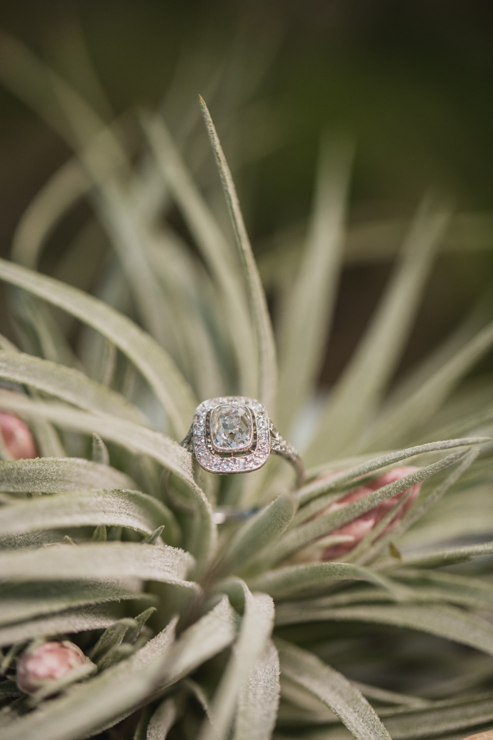wedding-submission-from-bride-film