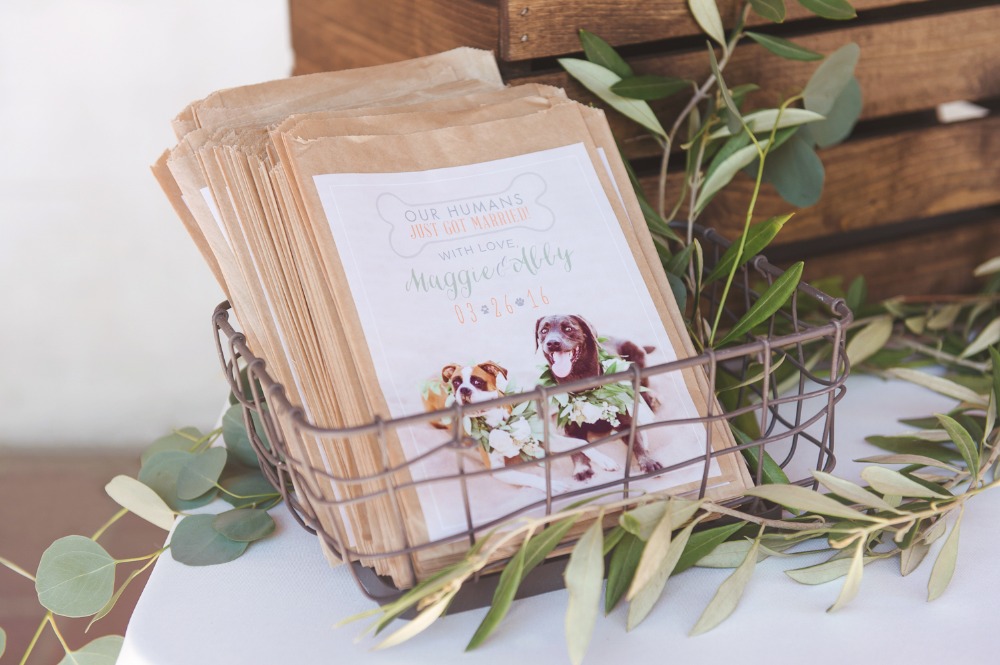 wedding-submission-from-chelsea-nicole
