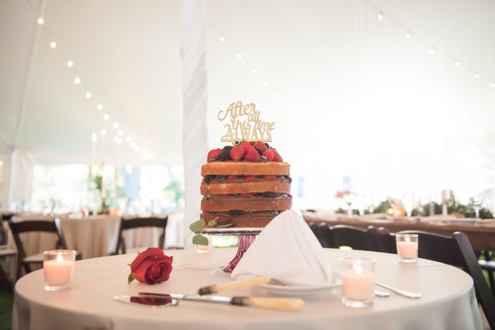 wedding-submission-from-erin-schmidt