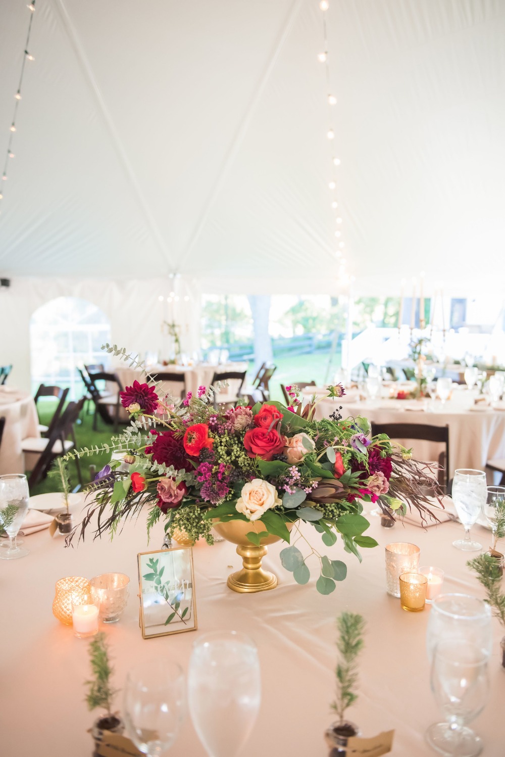wedding-submission-from-erin-schmidt