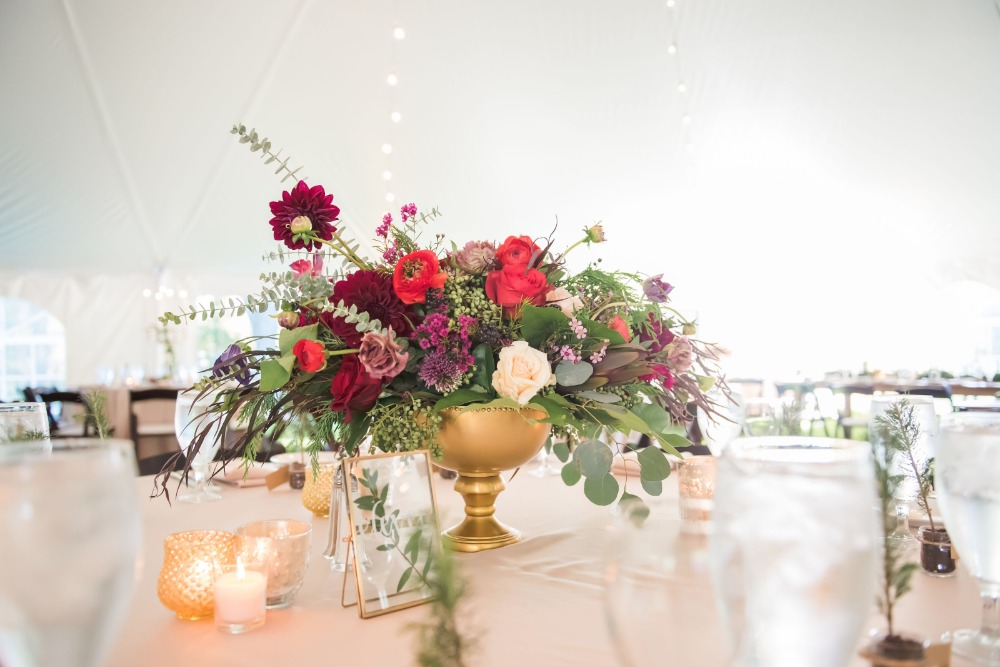 wedding-submission-from-erin-schmidt