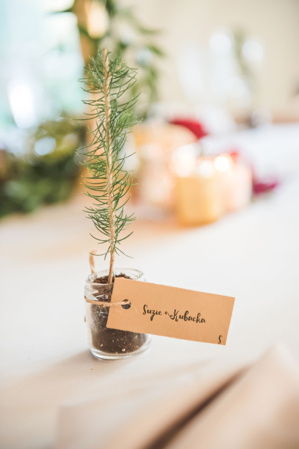 wedding-submission-from-erin-schmidt