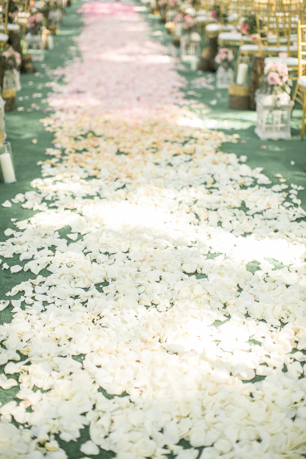 wedding-submission-from-ivorybliss