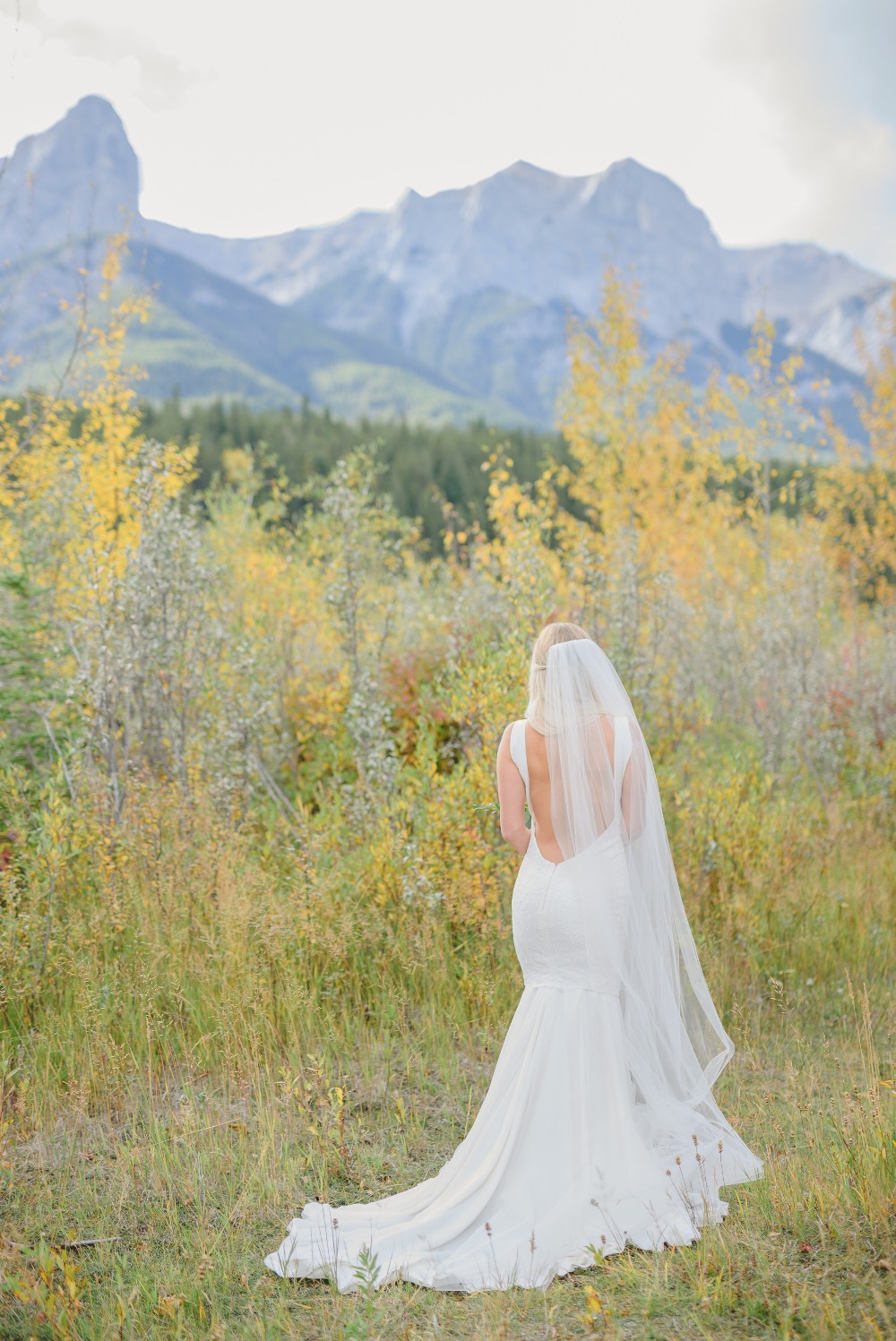 wedding-submission-from-jessilynn-wong
