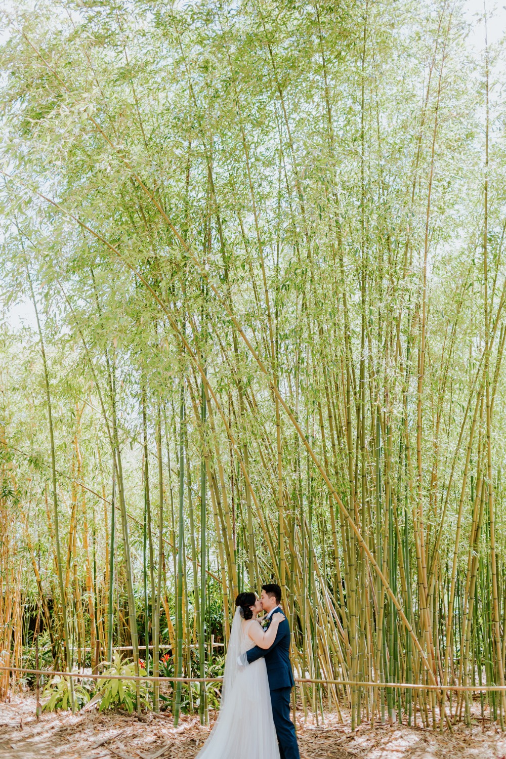 wedding-submission-from-let-s-frolic