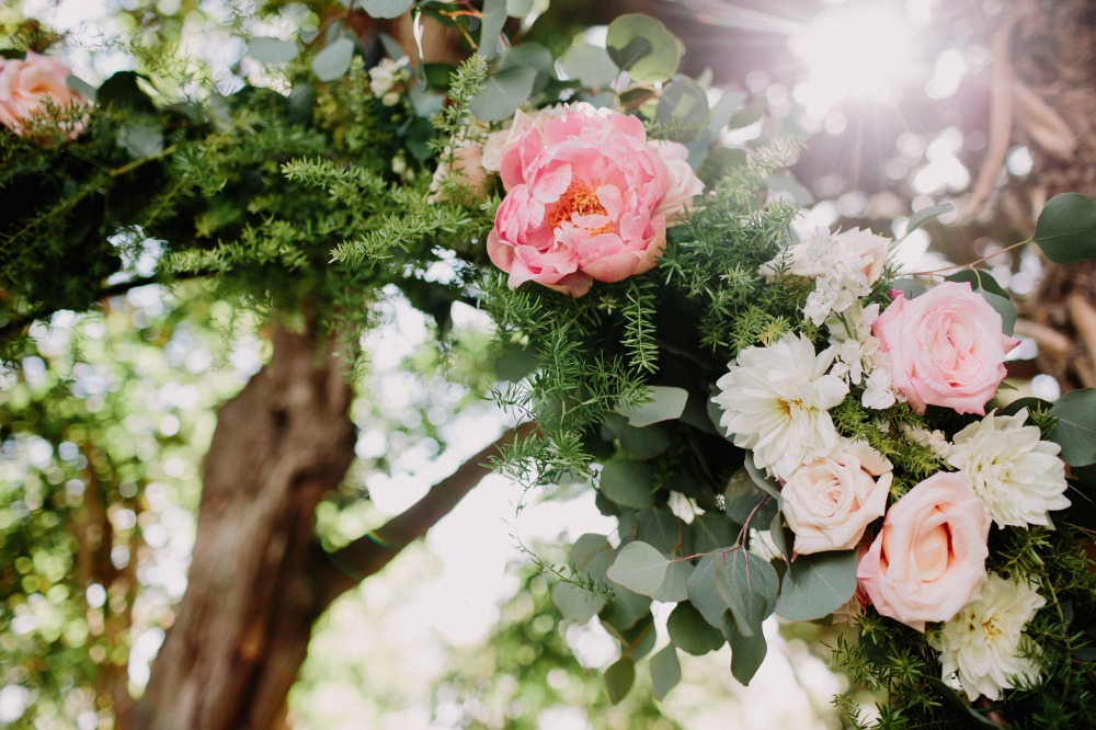 wedding-submission-from-let-s-frolic