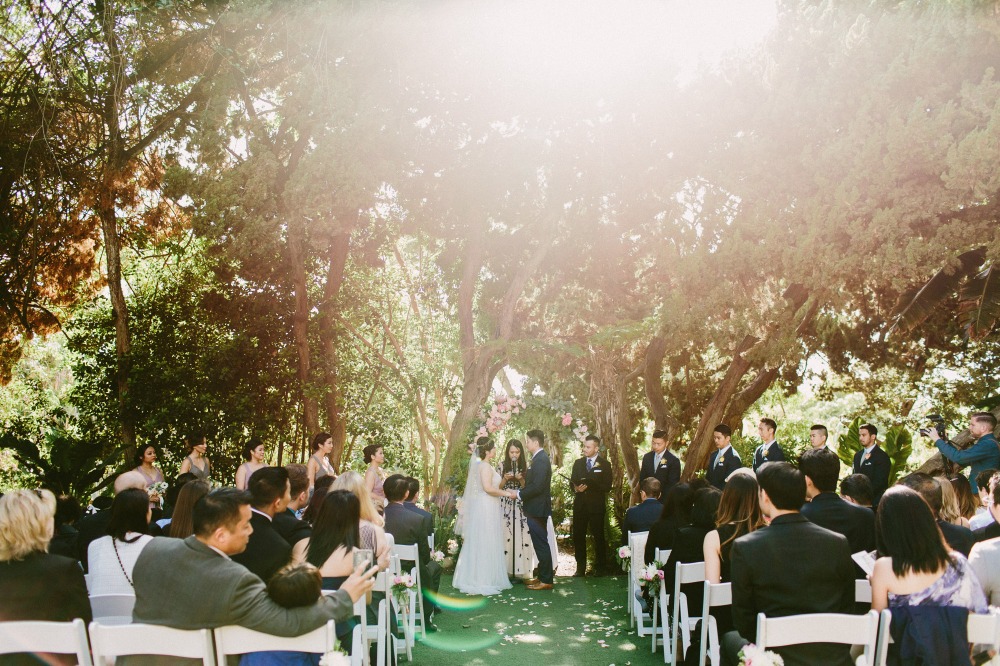 wedding-submission-from-let-s-frolic