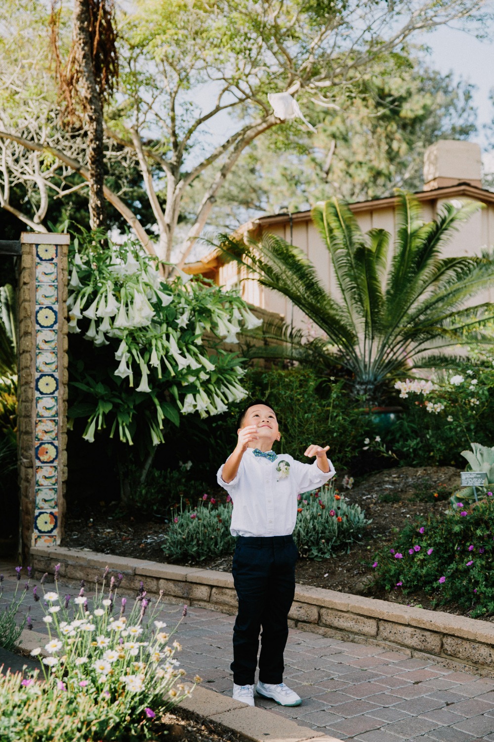 wedding-submission-from-let-s-frolic