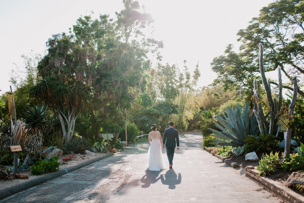 wedding-submission-from-let-s-frolic