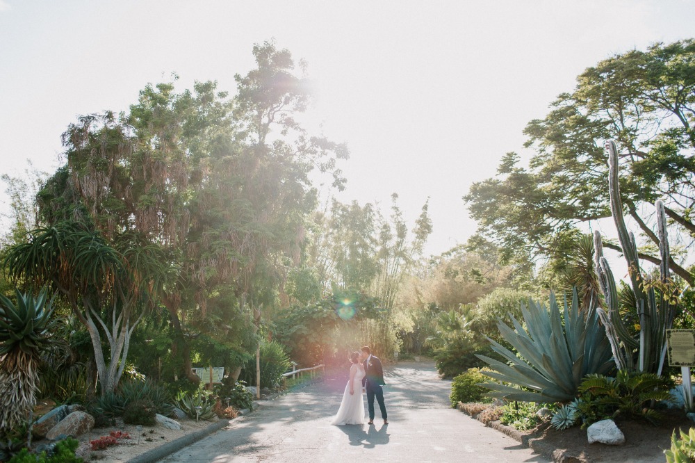 wedding-submission-from-let-s-frolic