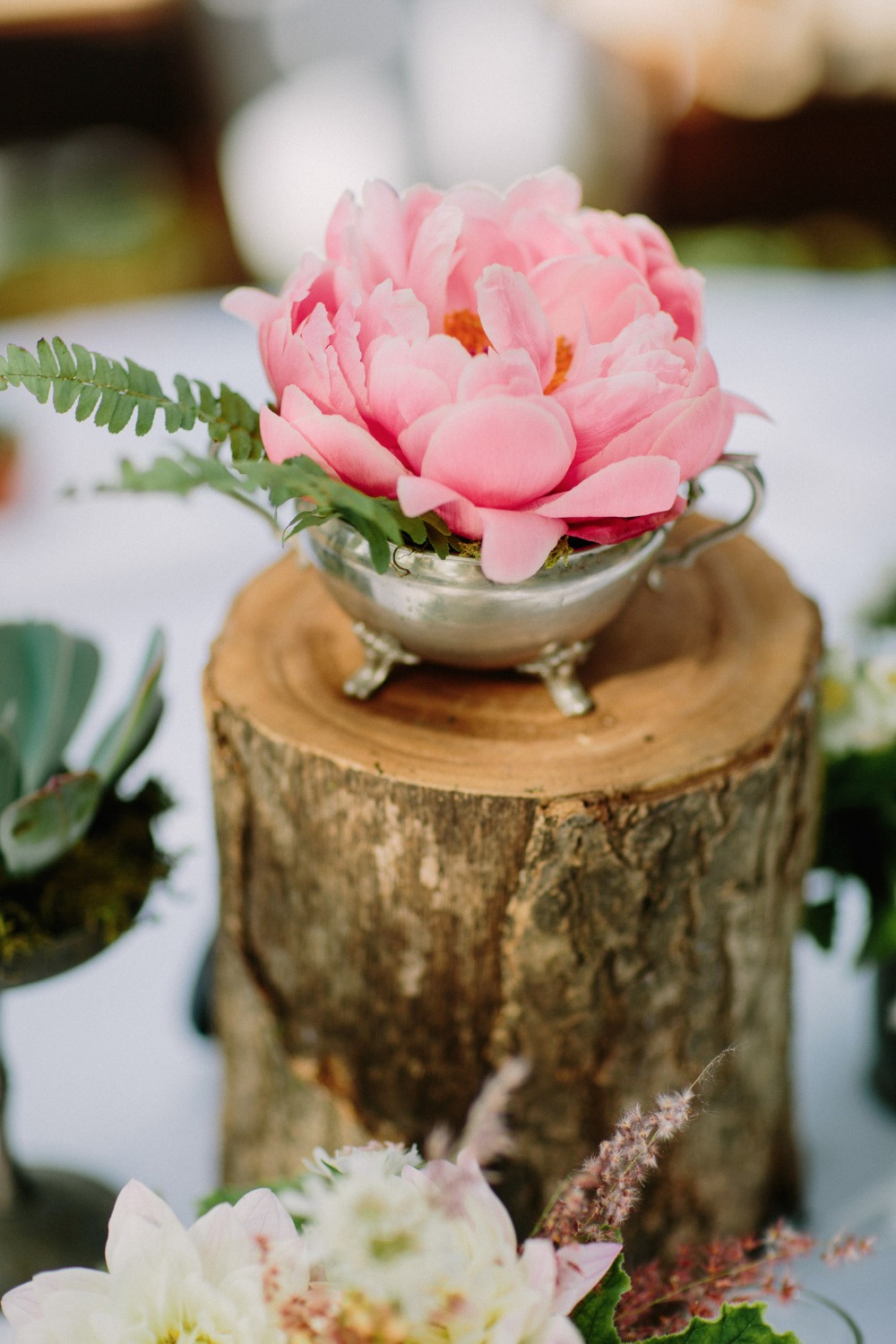 wedding-submission-from-let-s-frolic