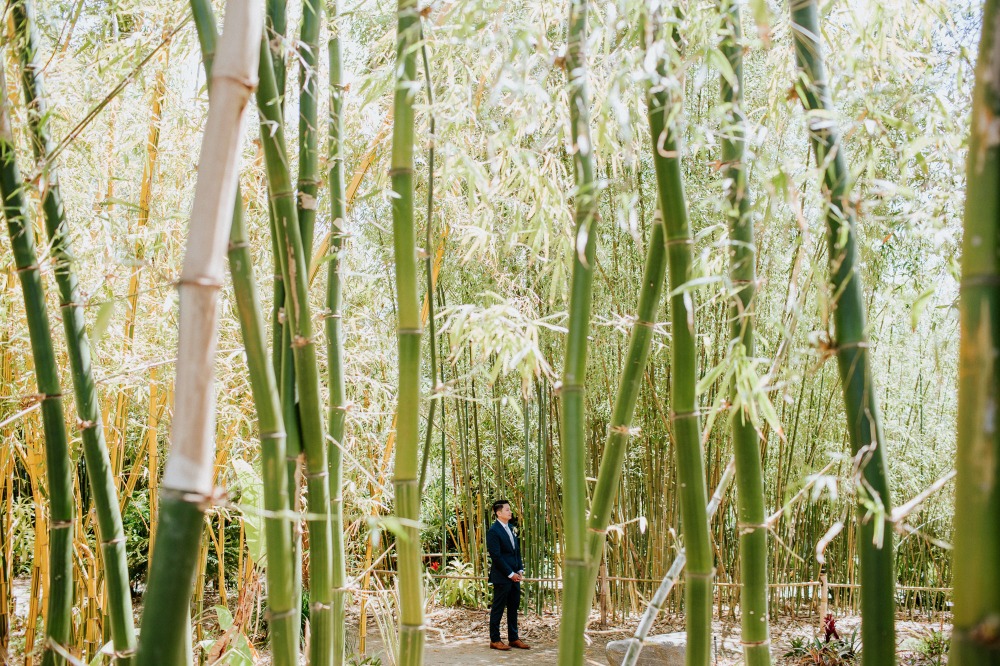 wedding-submission-from-let-s-frolic