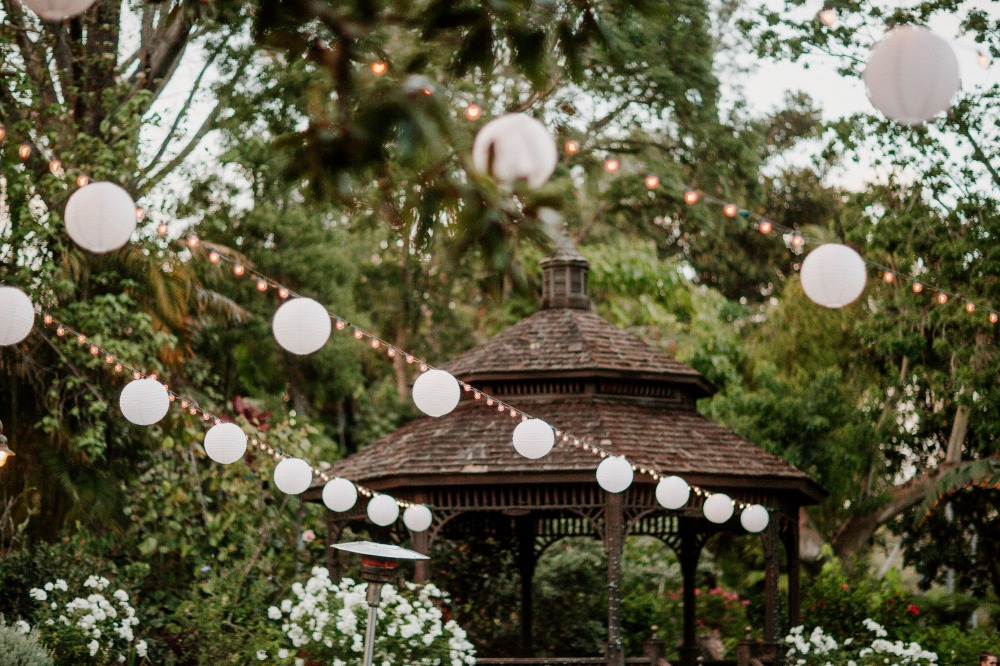 wedding-submission-from-let-s-frolic