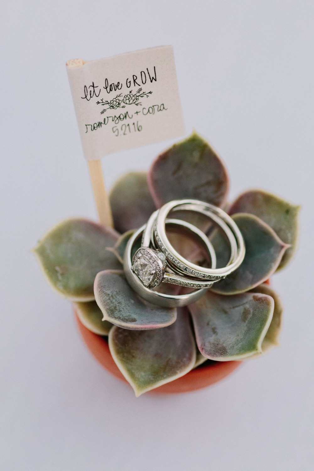 wedding-submission-from-let-s-frolic