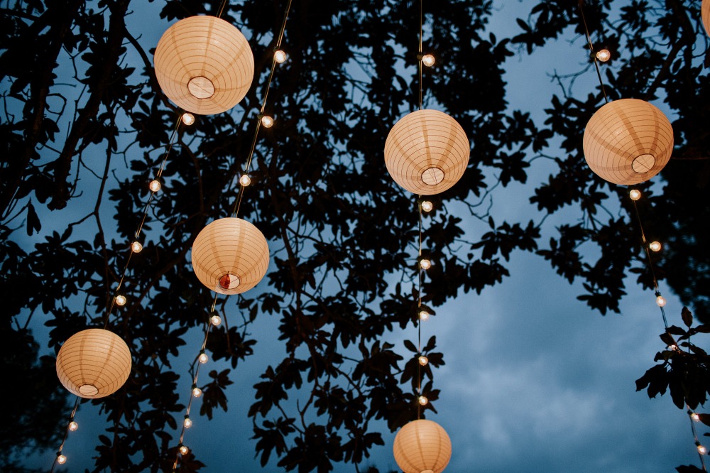 wedding-submission-from-let-s-frolic