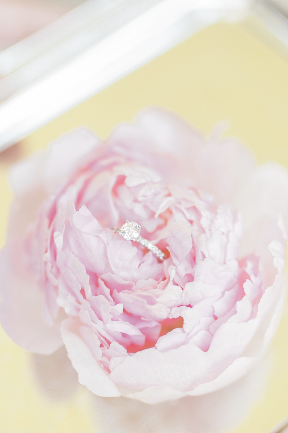 pink peony in a diamond ring