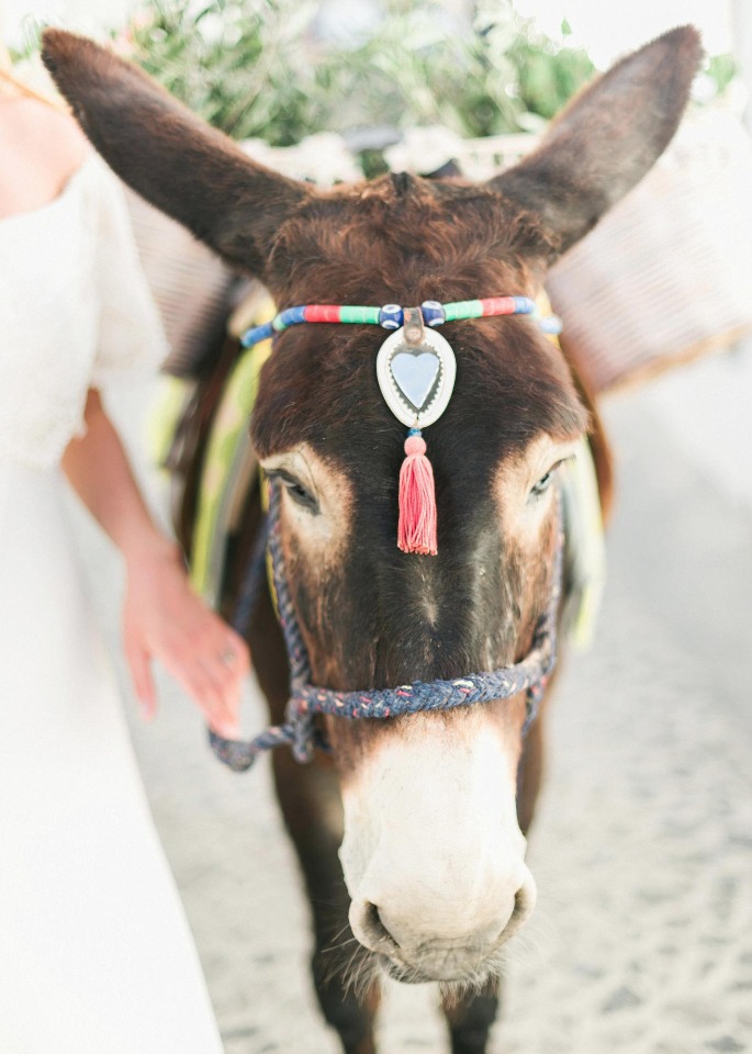 wedding burro for your big day in Greece