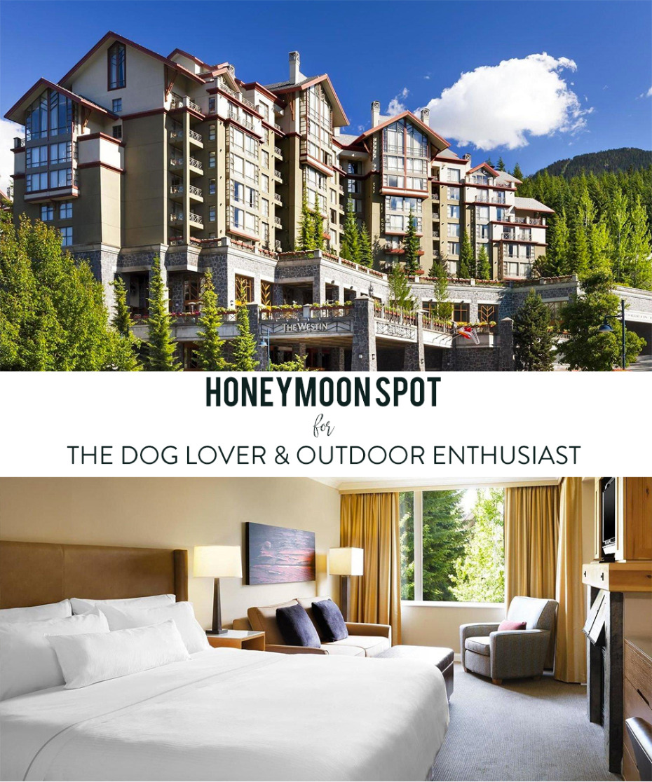 honeymoon destination that you can bring your dog to