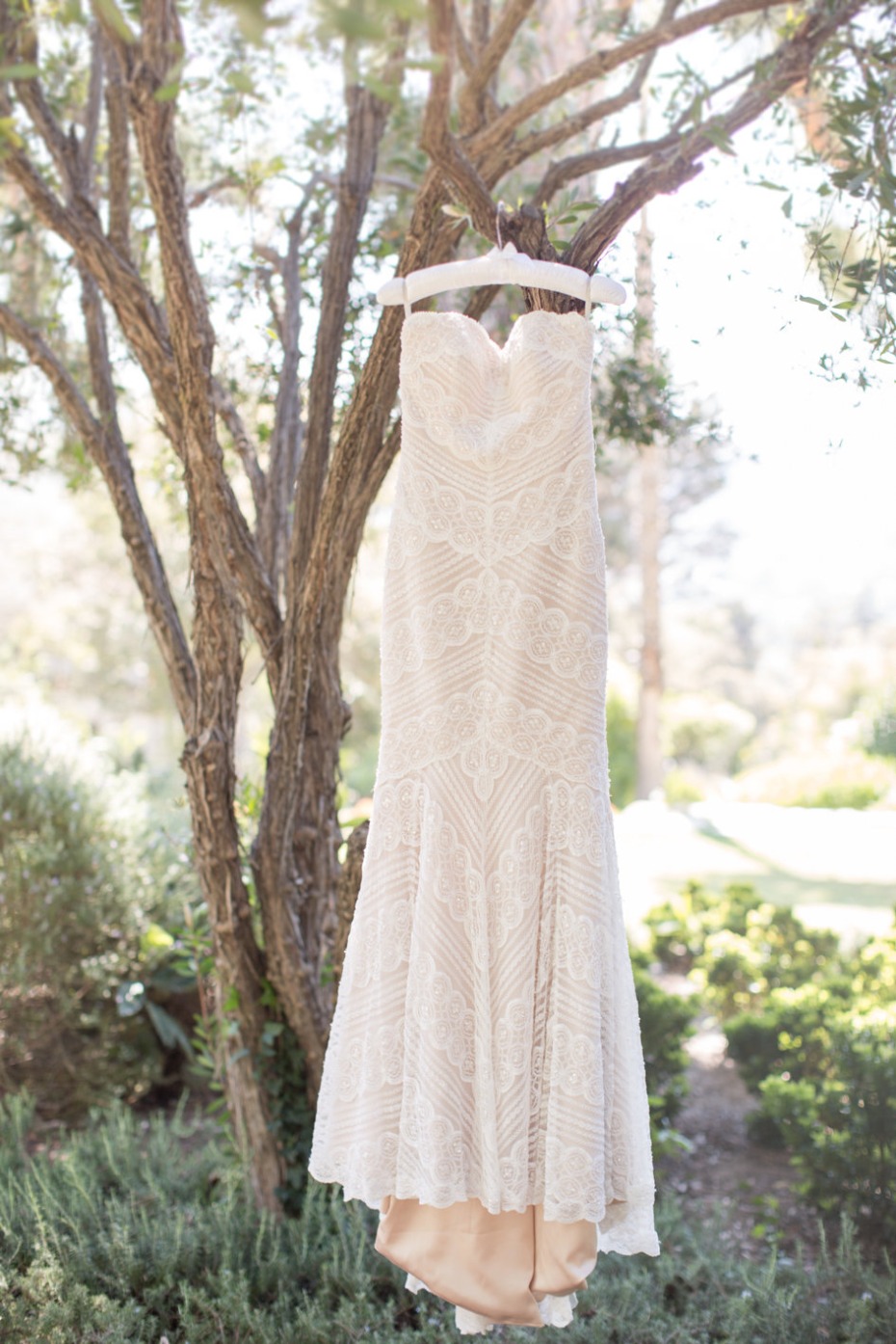 Gorgeous lace gown with blush underlay