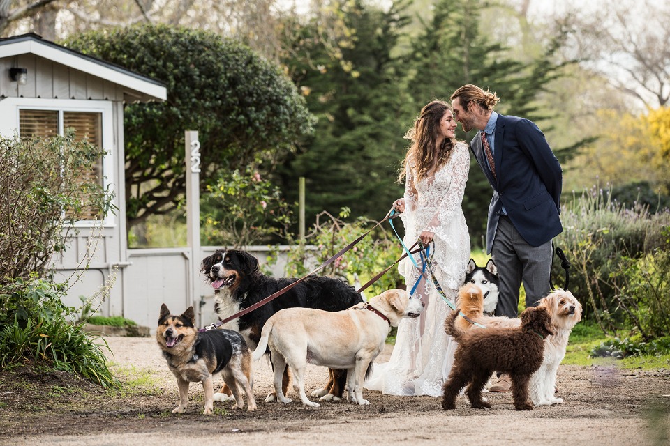 Dog friendly wedding venue