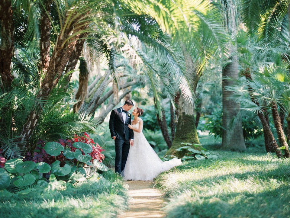 bride and groom in a jungle of love