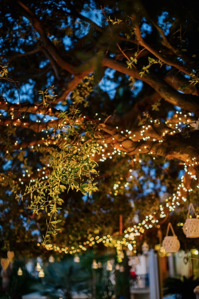 twinkle lights for your wedding reception
