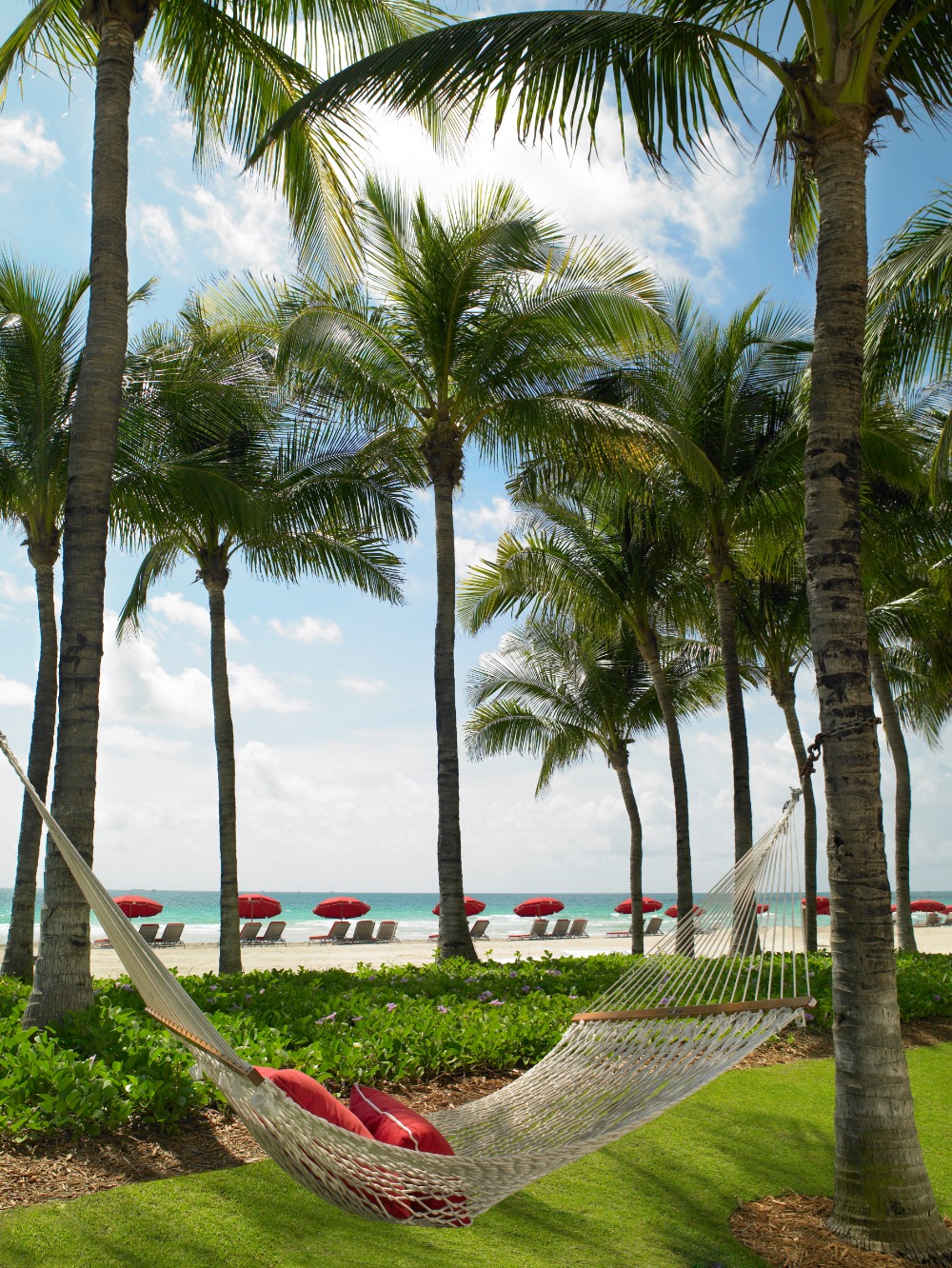 south-florida-we-ve-found-the-perfect