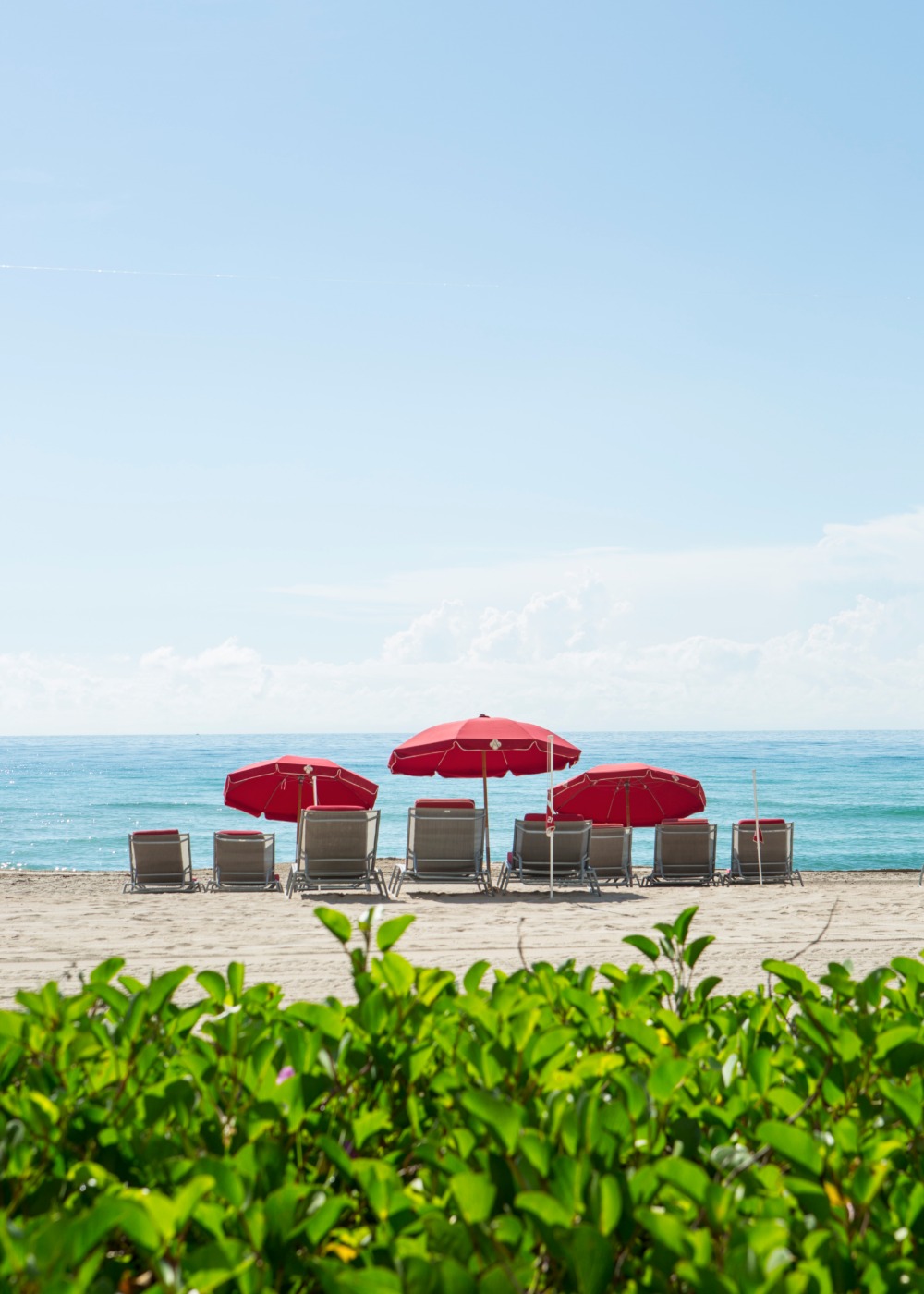 south-florida-we-ve-found-the-perfect