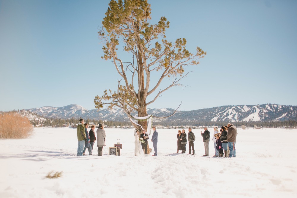 wedding-submission-from-crystal-renee