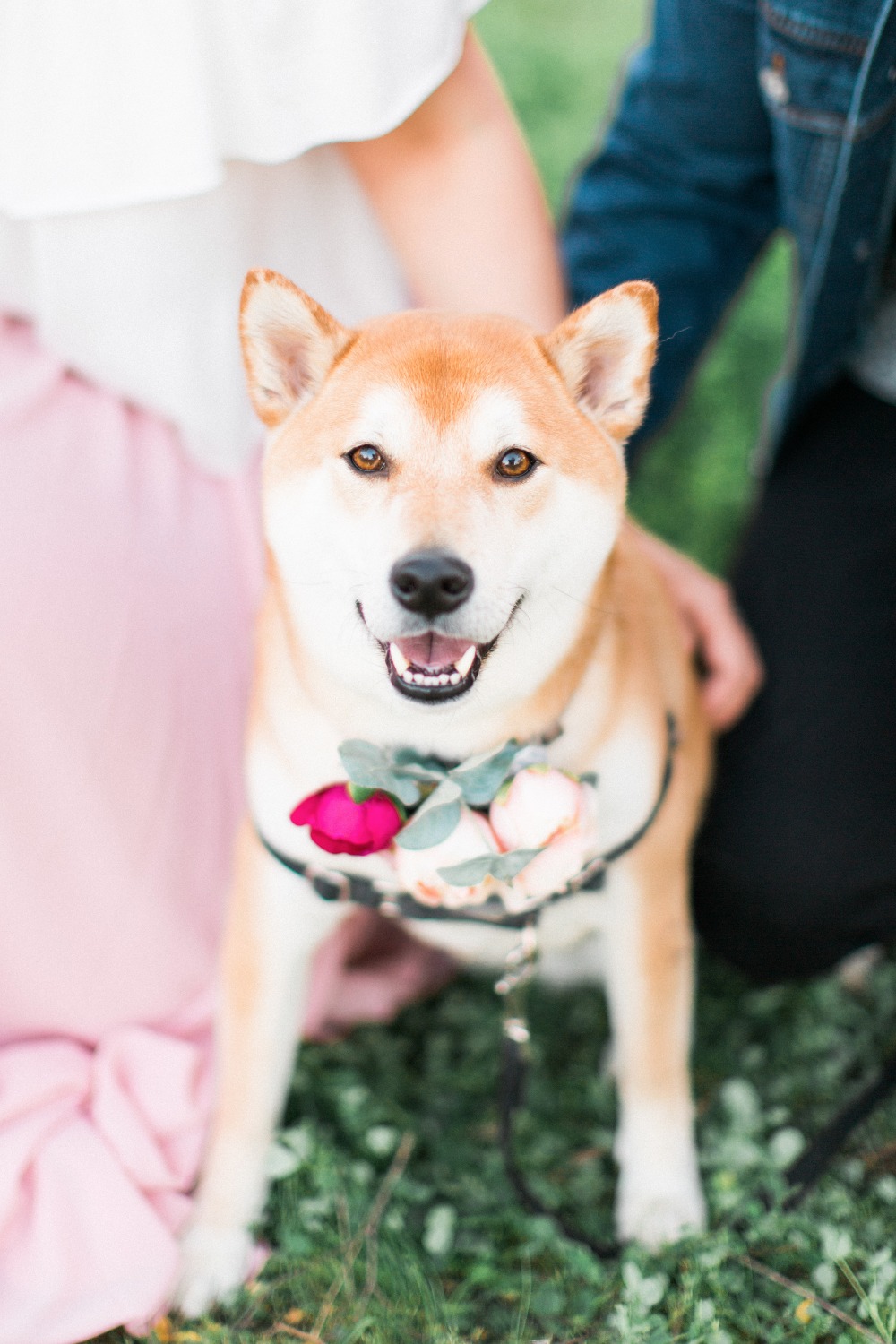wedding-submission-from-destiny-schaefer