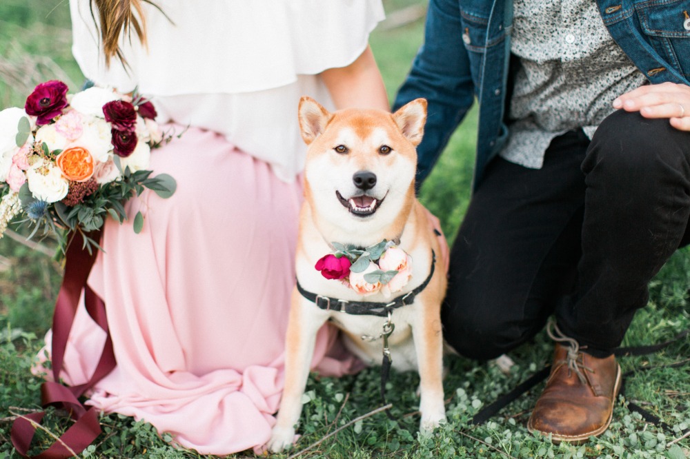 wedding-submission-from-destiny-schaefer