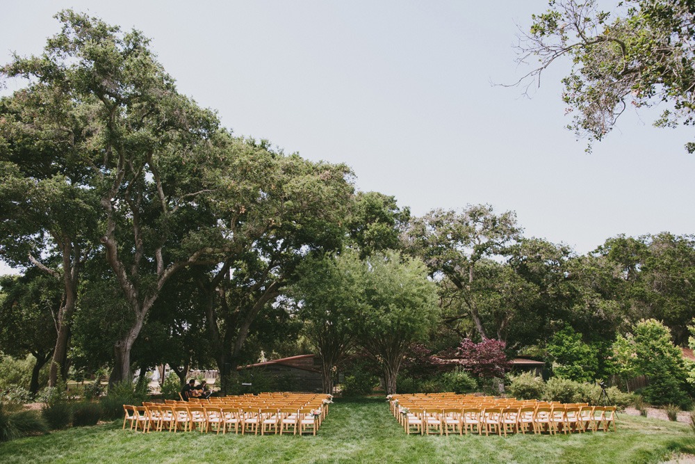 wedding-submission-from-doriana-hammond