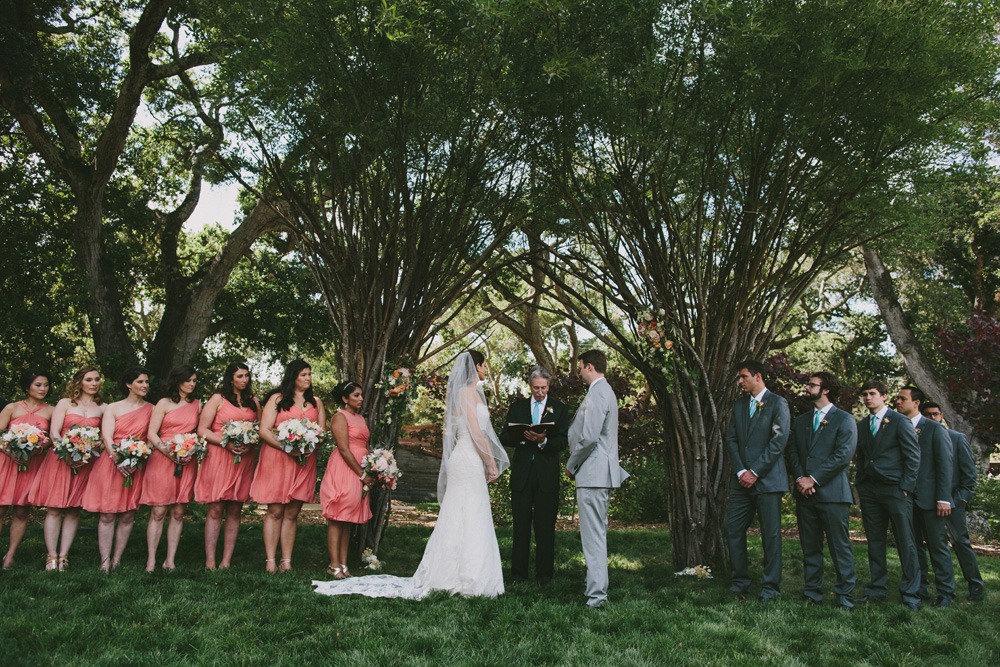 wedding-submission-from-doriana-hammond