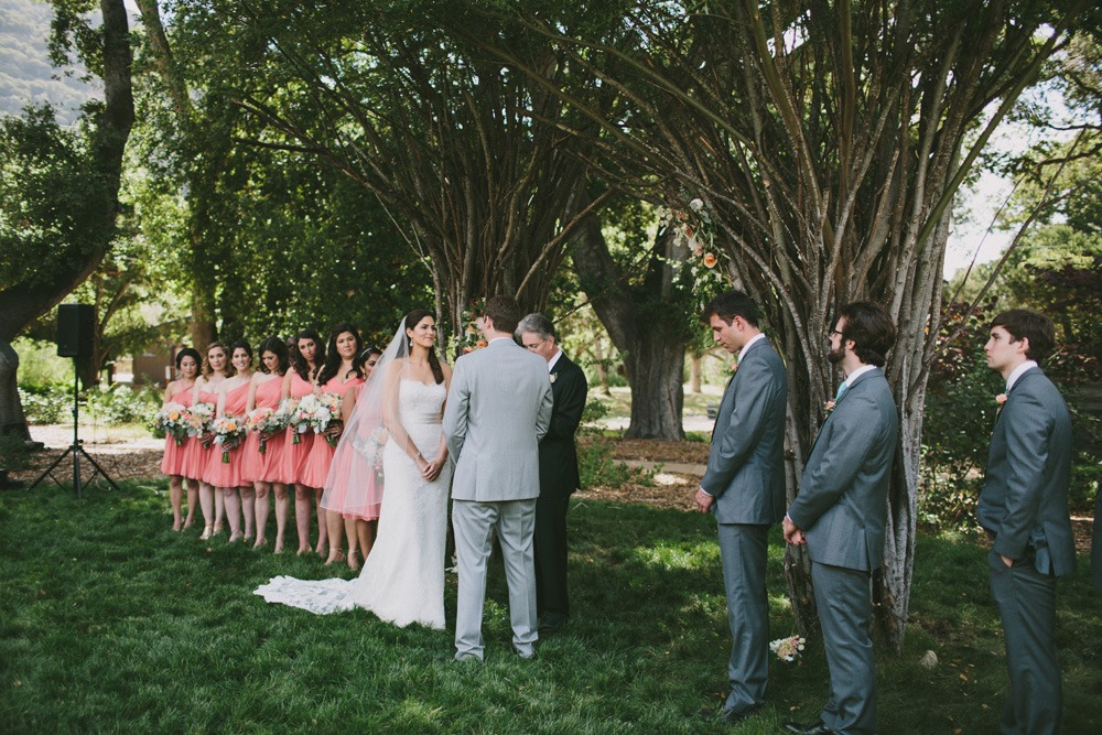 wedding-submission-from-doriana-hammond