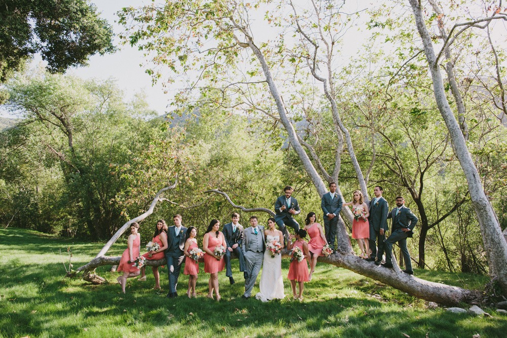 wedding-submission-from-doriana-hammond