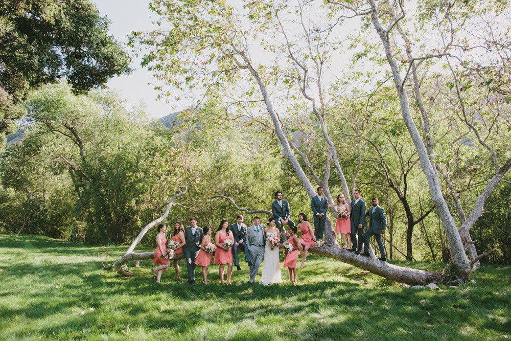 wedding-submission-from-doriana-hammond