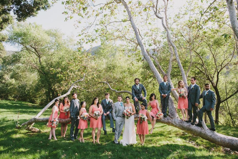wedding-submission-from-doriana-hammond