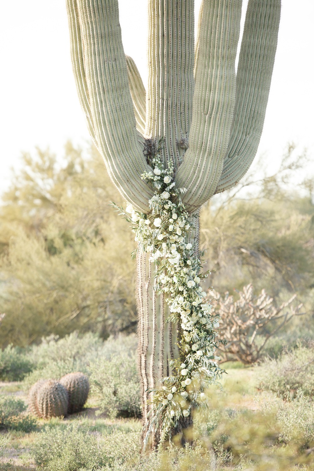 wedding-submission-from-monique