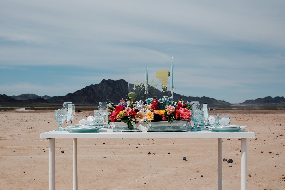 wedding-submission-from-starry-eyed