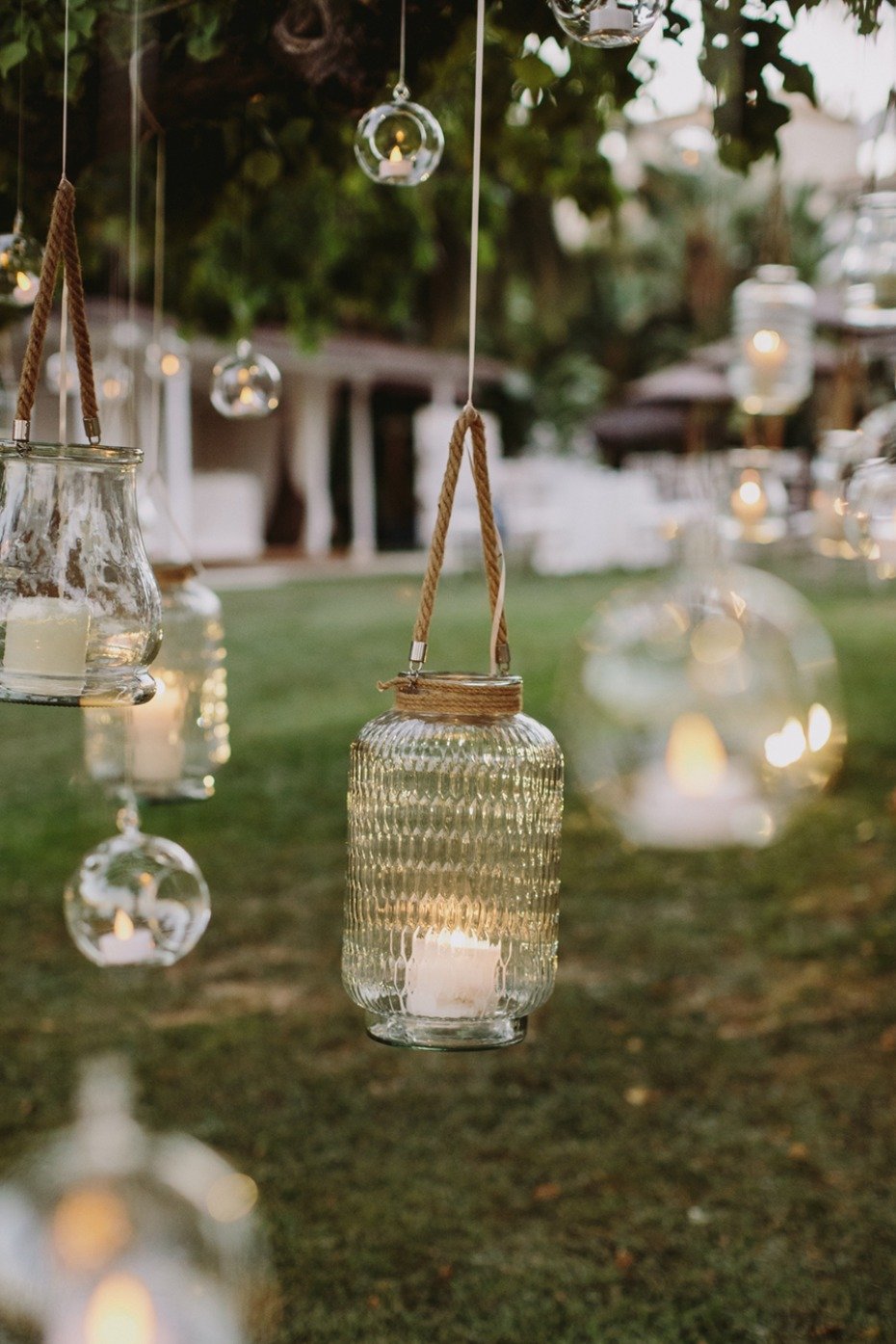 glowing and hanging lanterns in a tree