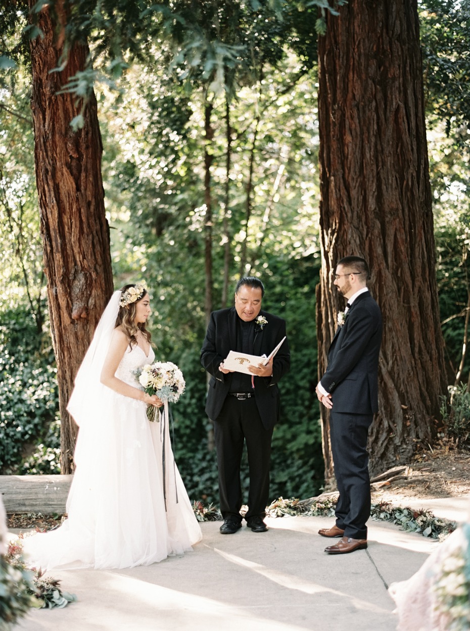 Ceremony amongst the redwoods