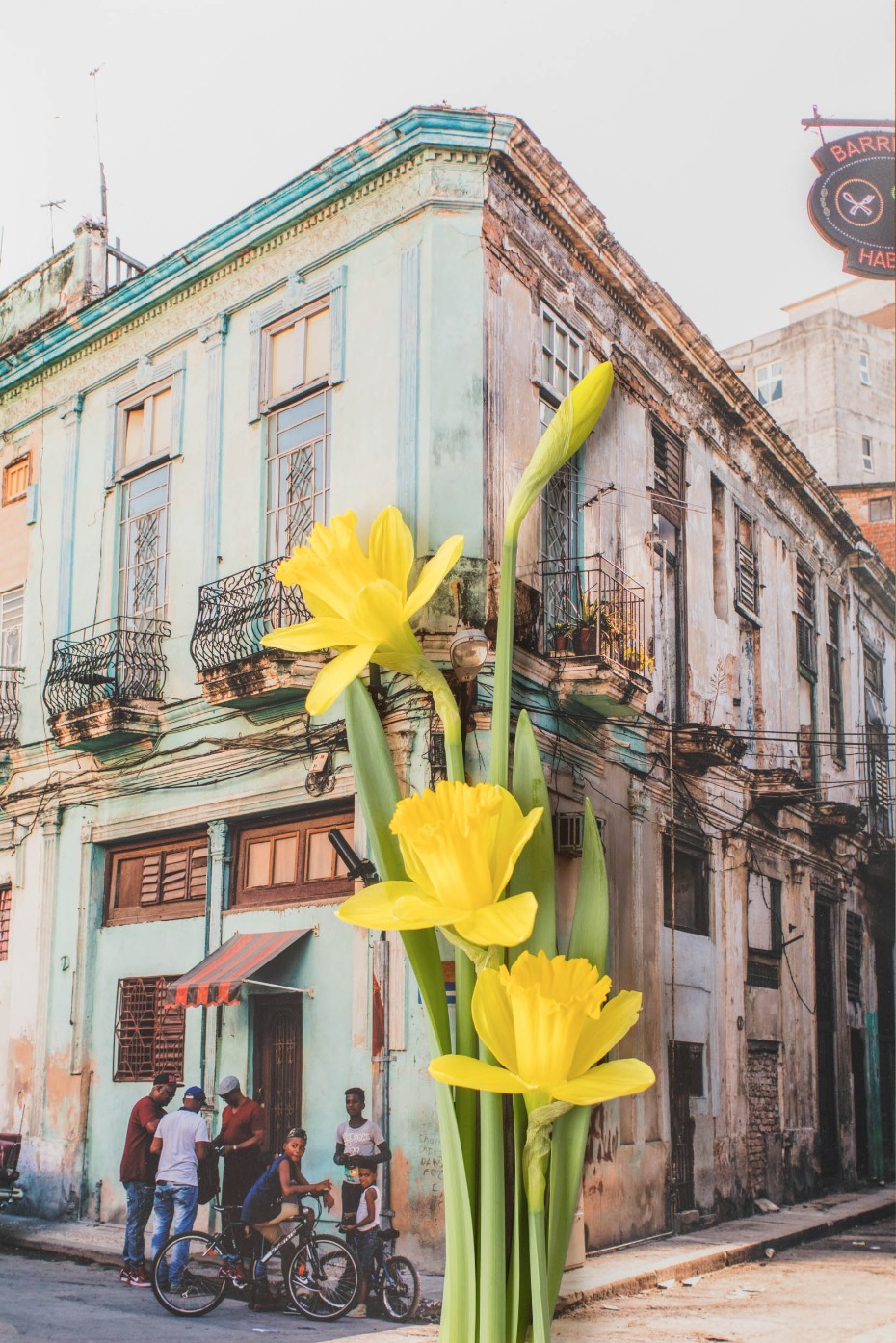 The beauty of Old Havana with fresh blooms