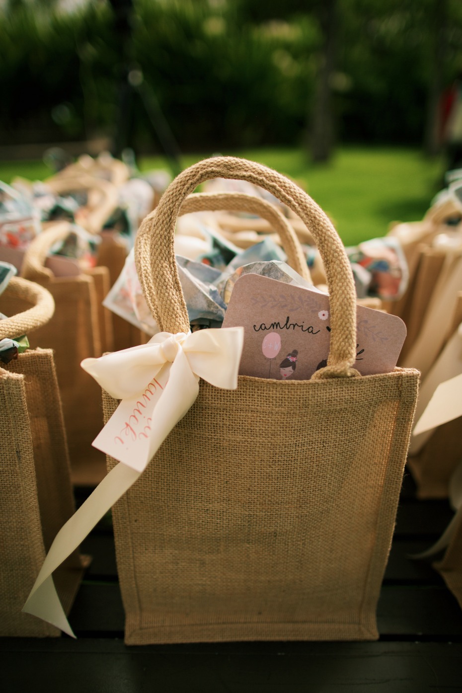 Favors bags for guests