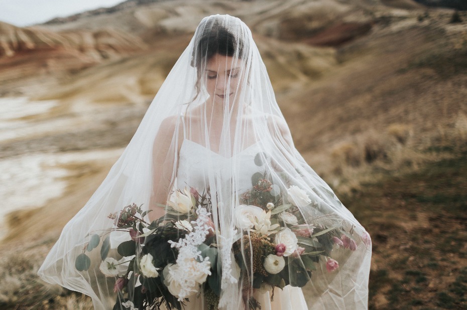 gorgeous veil wedding photo idea
