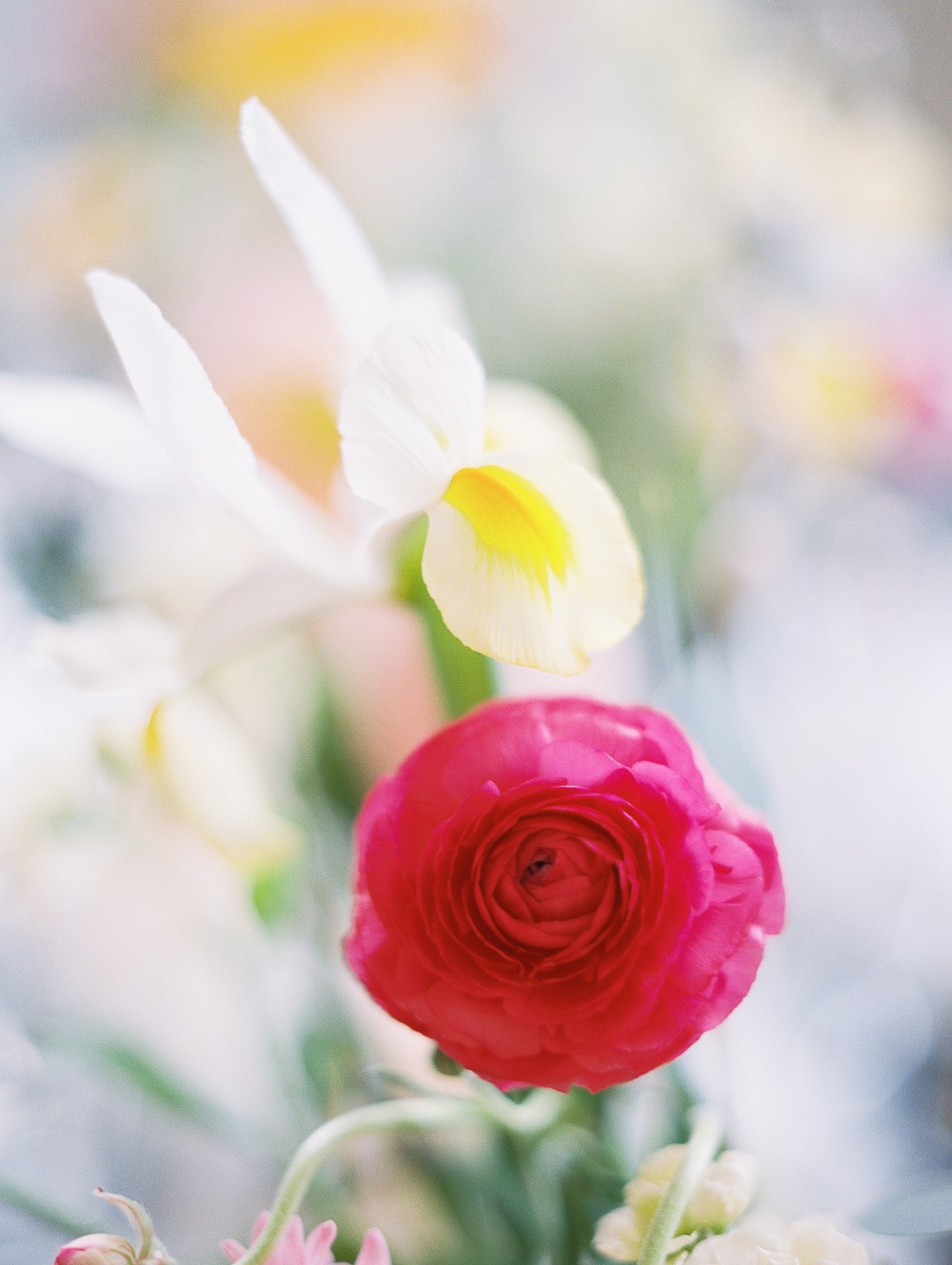 wedding-submission-from-as-you-wish