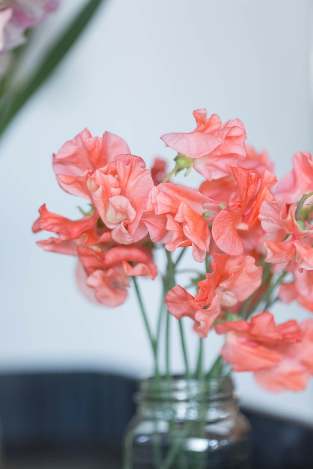 wedding-submission-from-isari-flower
