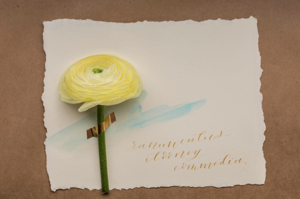 wedding-submission-from-isari-flower