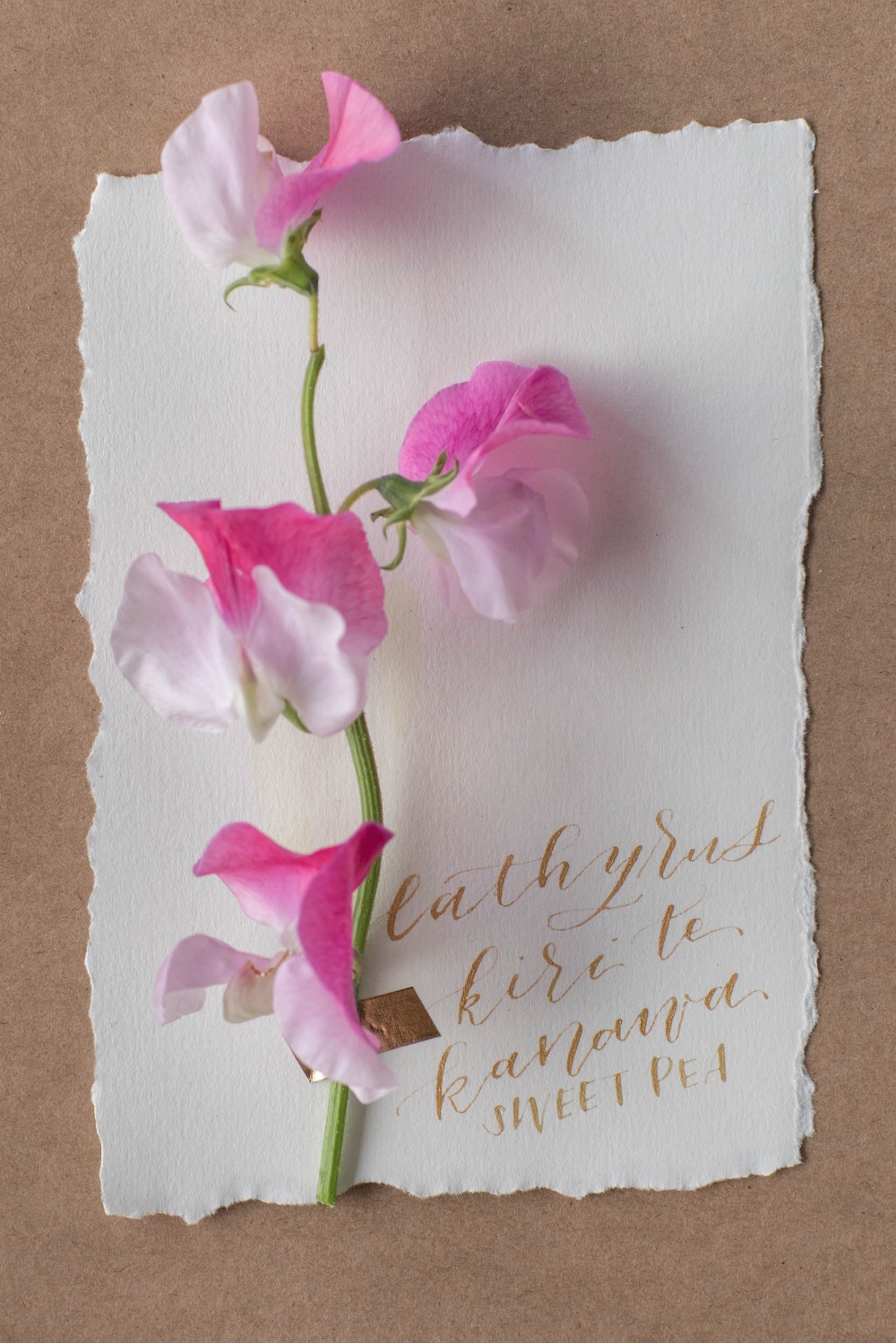 wedding-submission-from-isari-flower